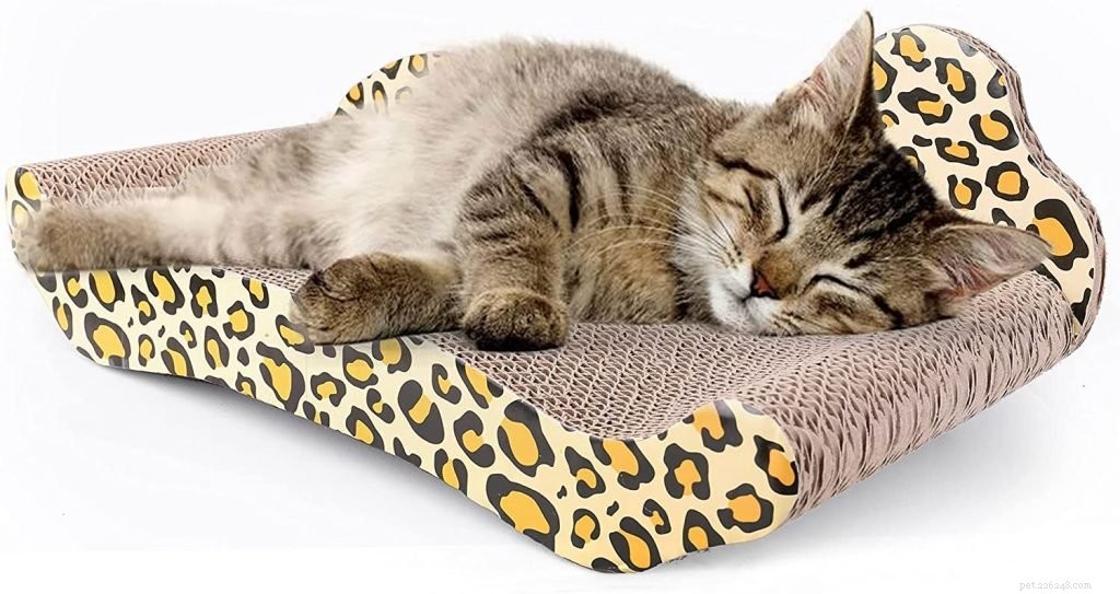 Top Cat Sofas: Stylish, Cozy Beds for Your Feline Friend