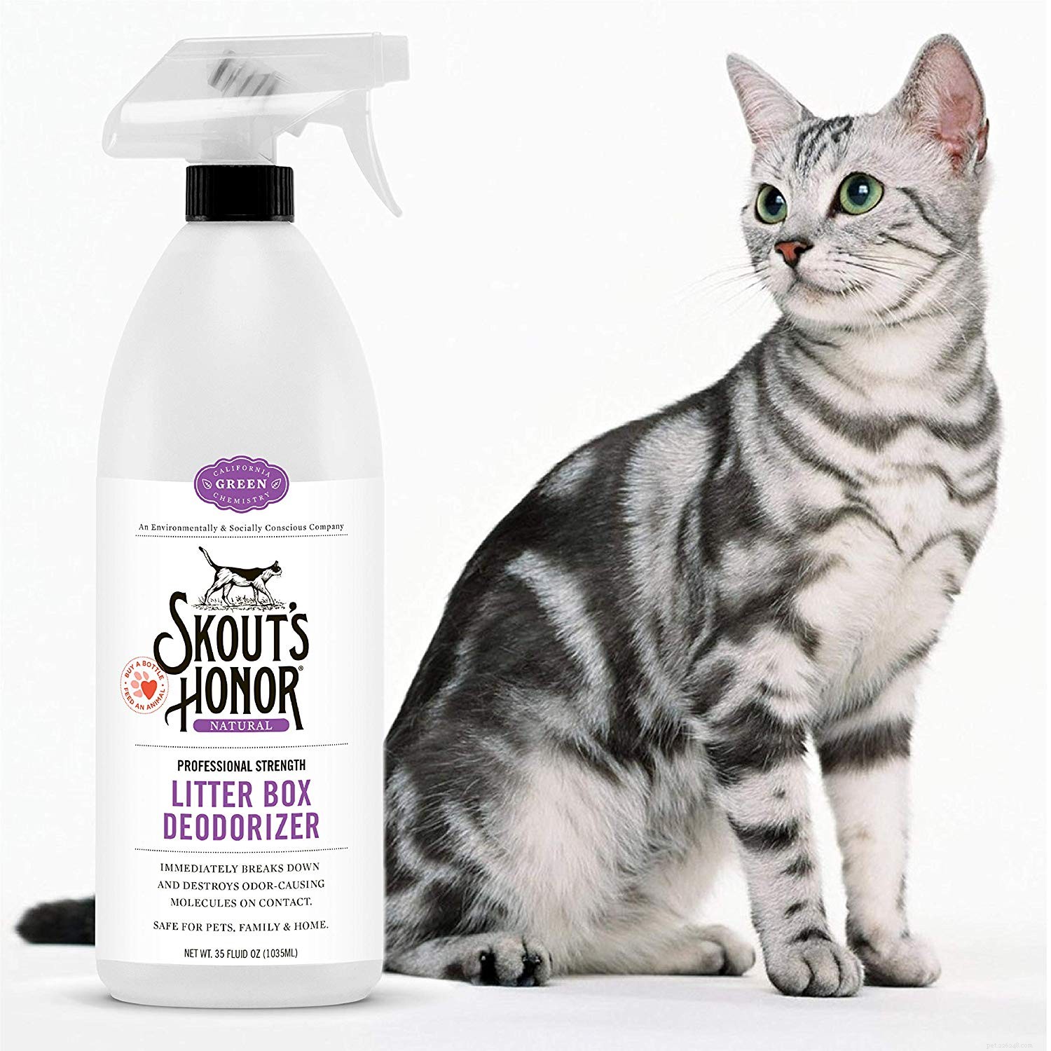 Top Cat Litter Deodorizers: Keep Your Home Fresh and Odor‑Free