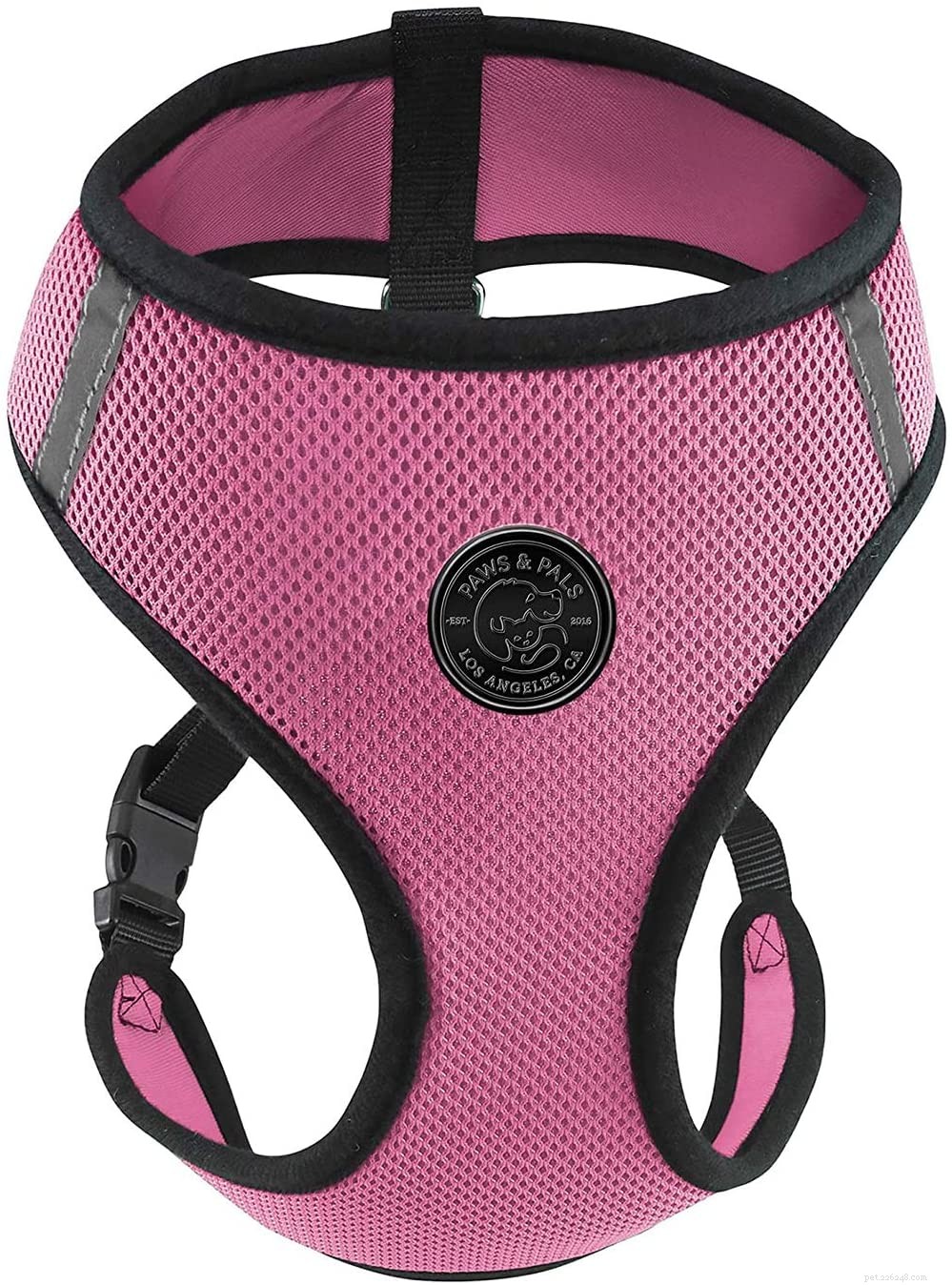 The Ultimate Guide to Choosing the Best Cat Harnesses for Safe Outdoor Adventures