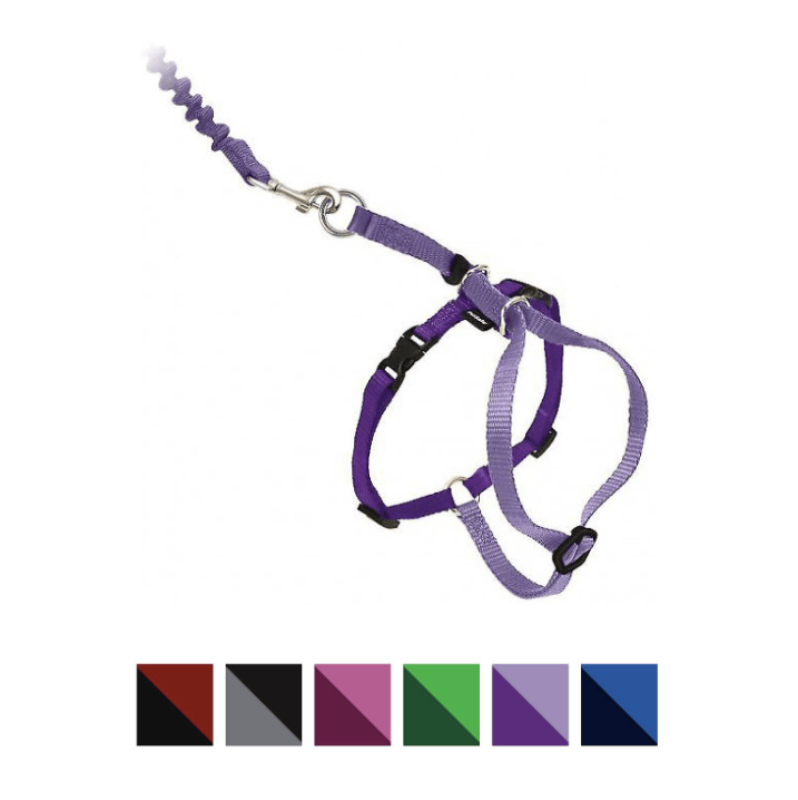 The Ultimate Guide to Choosing the Best Cat Harnesses for Safe Outdoor Adventures
