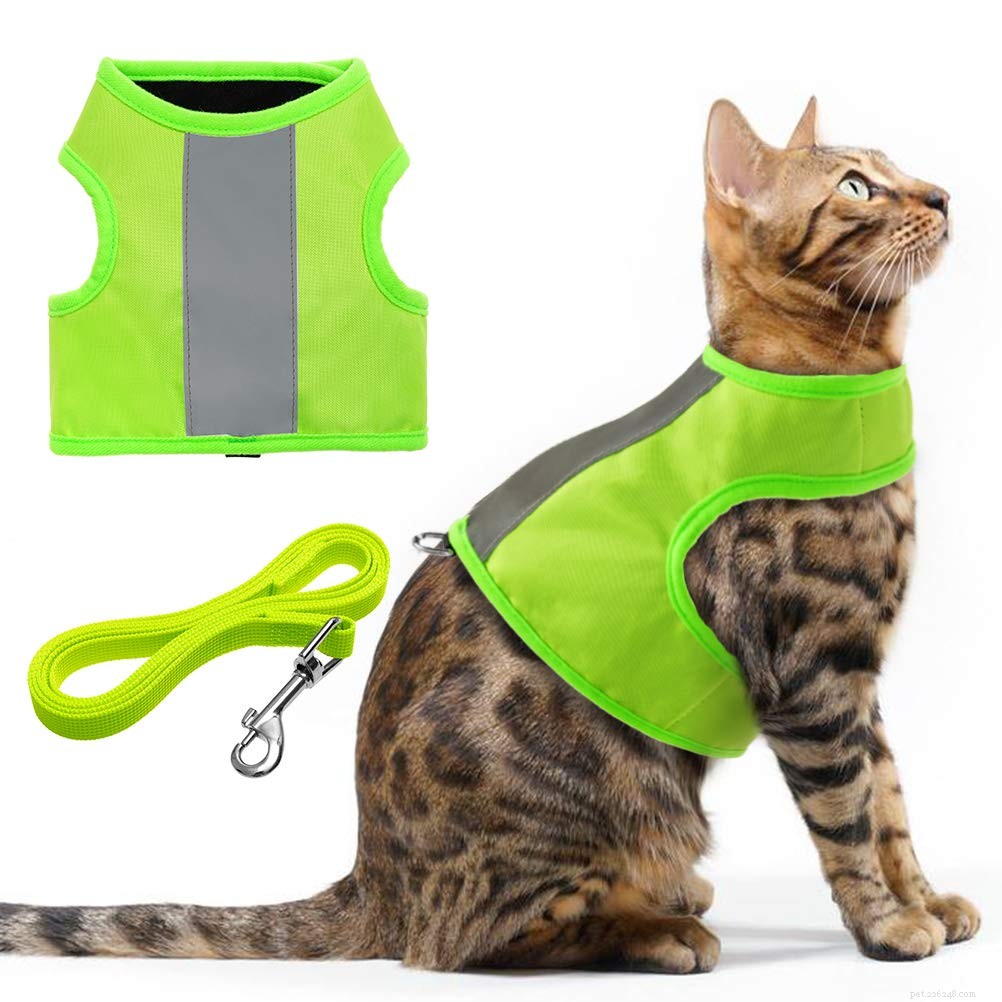 The Ultimate Guide to Choosing the Best Cat Harnesses for Safe Outdoor Adventures