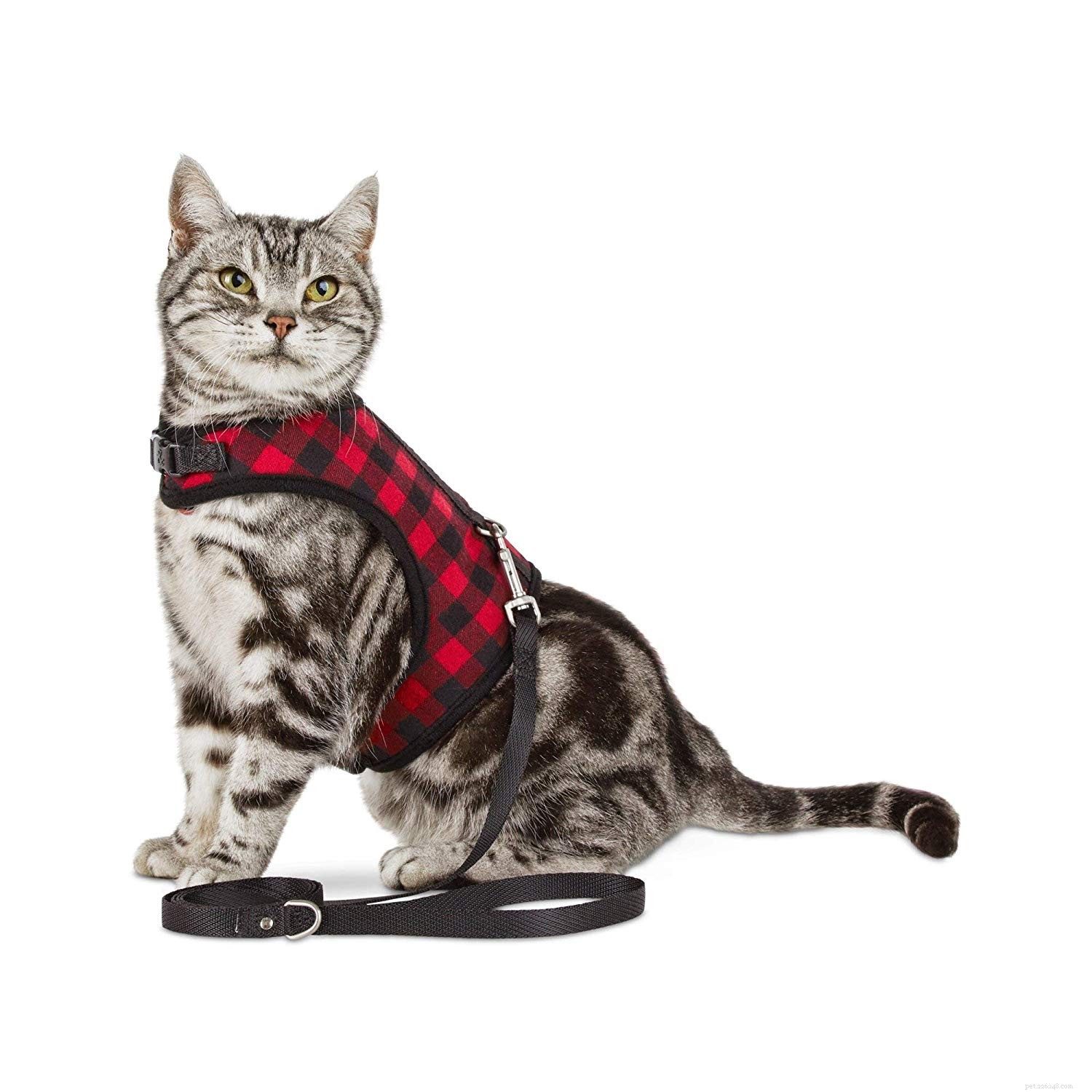 The Ultimate Guide to Choosing the Best Cat Harnesses for Safe Outdoor Adventures