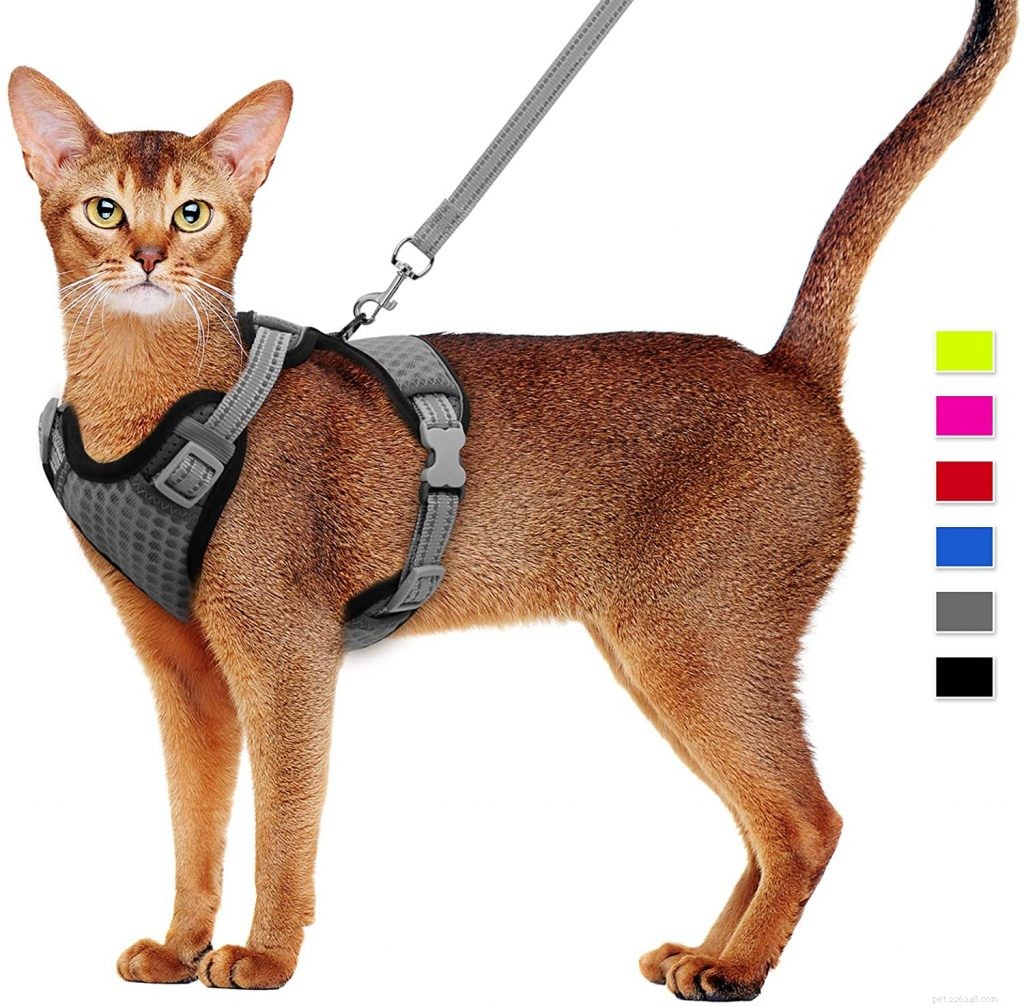 The Ultimate Guide to Choosing the Best Cat Harnesses for Safe Outdoor Adventures