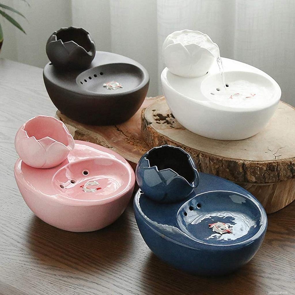 Top Water Fountains for Cats: Keep Your Feline Hydrated