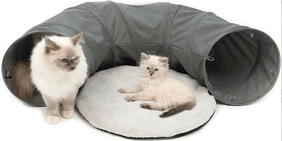 Top Cat Tunnels for Play, Comfort & Safety