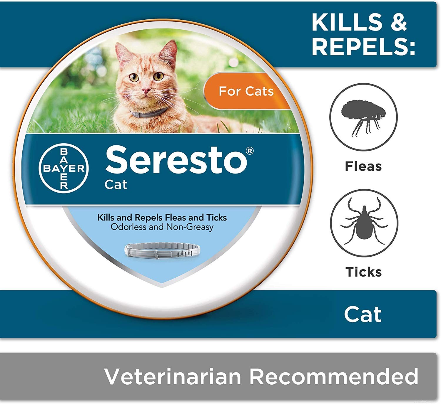Best Cat Flea Collars: Safe, Effective & Pet-Friendly