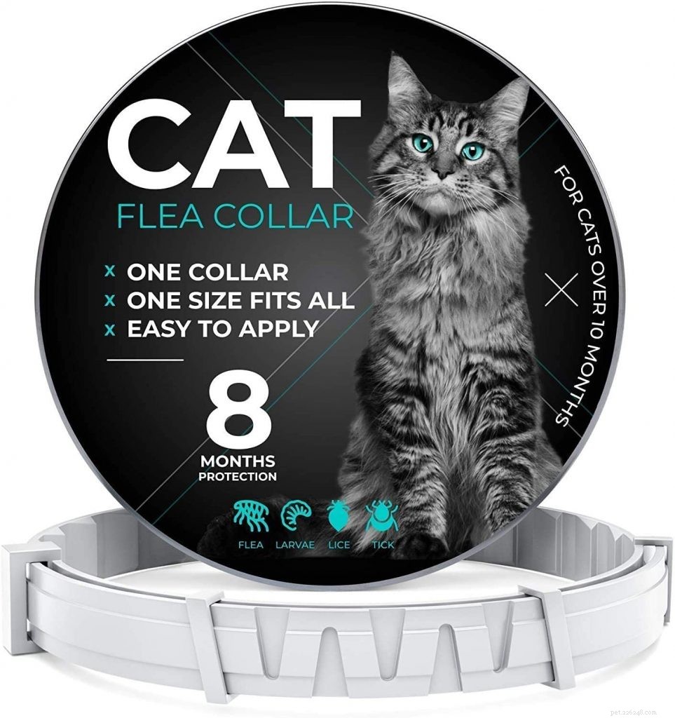 Best Cat Flea Collars: Safe, Effective & Pet-Friendly