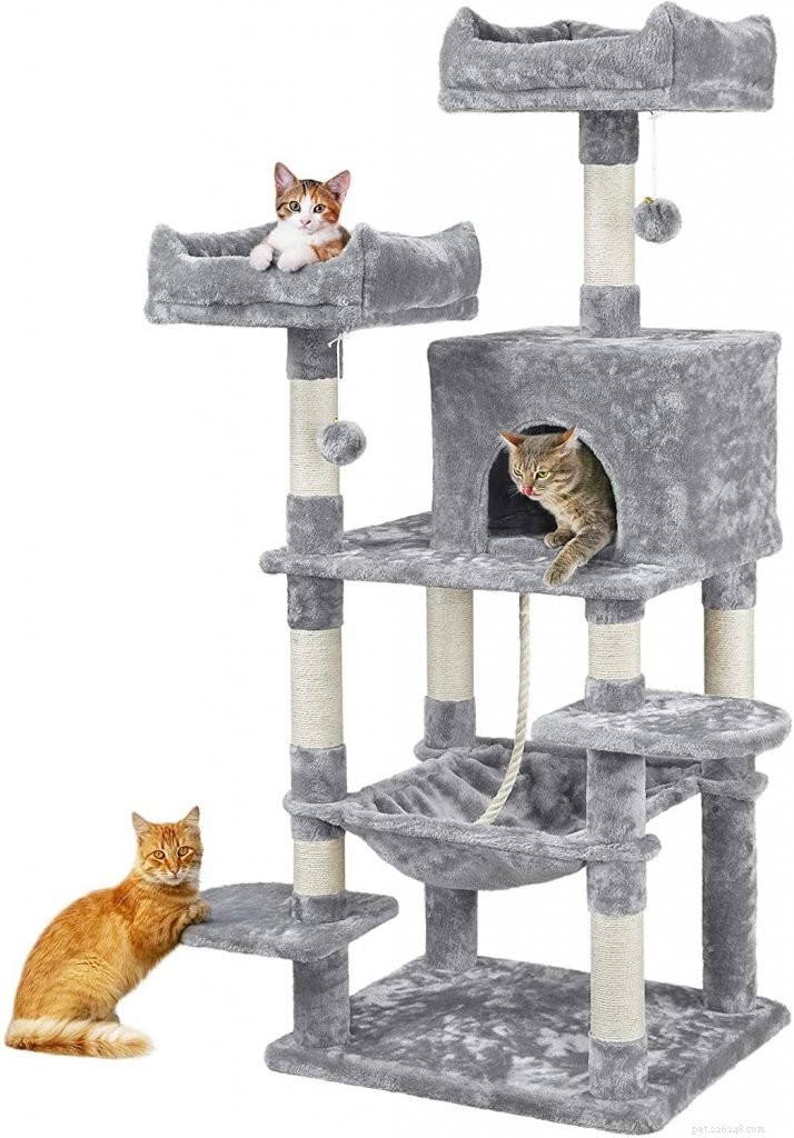 Top Cat Trees for Comfort, Play, and Safety