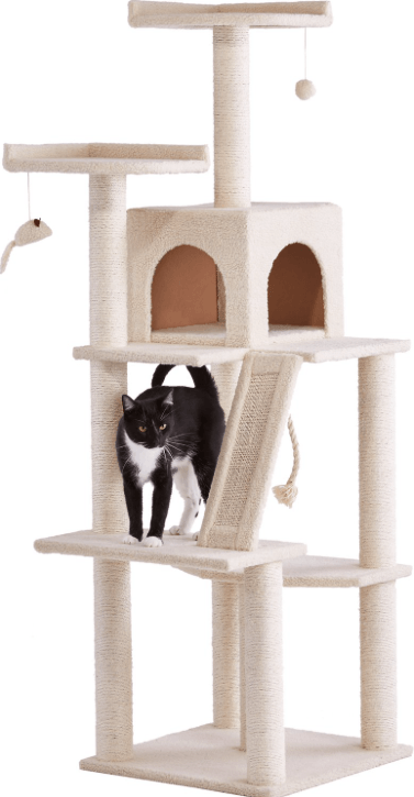 Top Cat Trees for Comfort, Play, and Safety