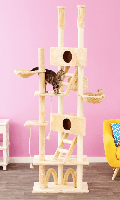 Top Cat Trees for Comfort, Play, and Safety