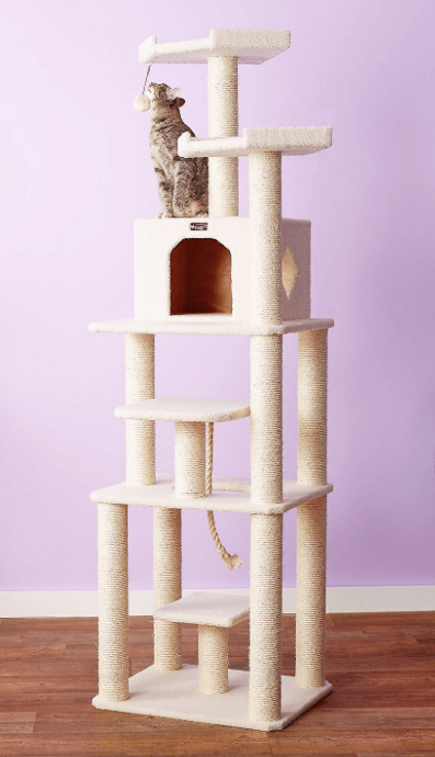 Top Cat Trees for Comfort, Play, and Safety