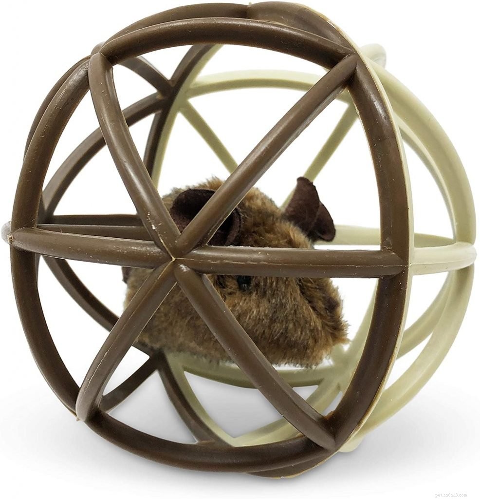 Top 10 Cat Ball Toys for Endless Play & Exercise