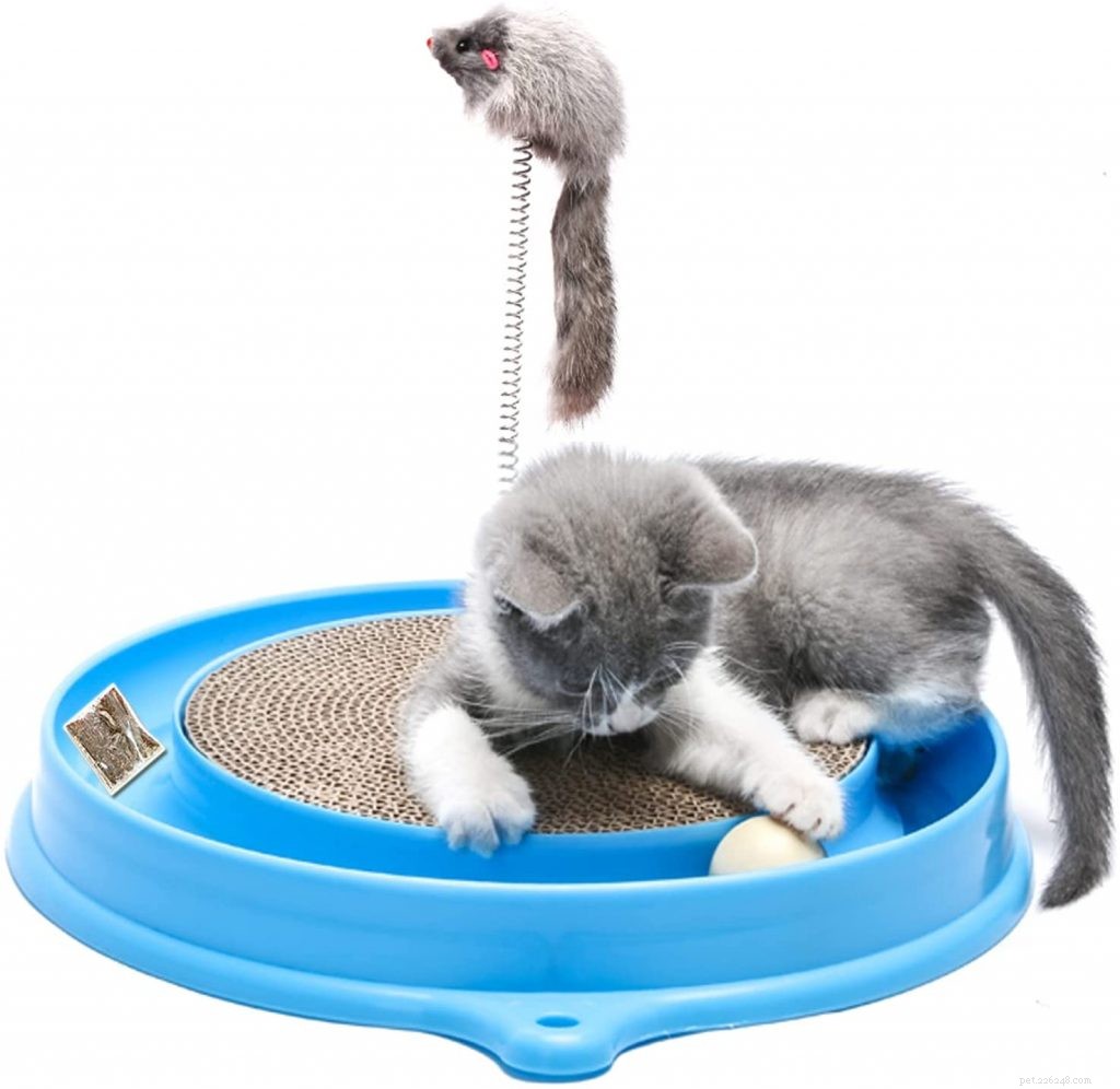 Top 10 Cat Ball Toys for Endless Play & Exercise