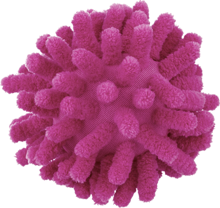Top 10 Cat Ball Toys for Endless Play & Exercise