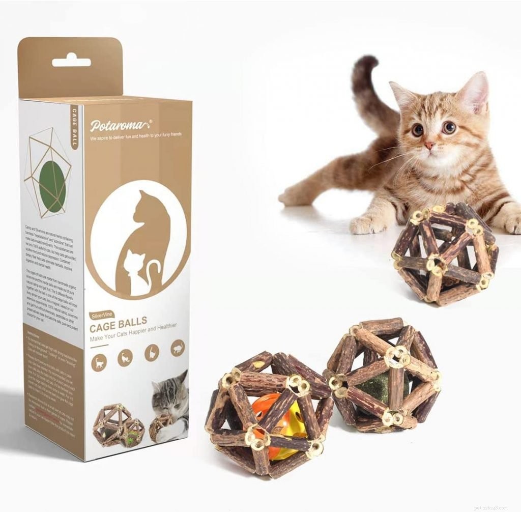 Top 10 Cat Ball Toys for Endless Play & Exercise