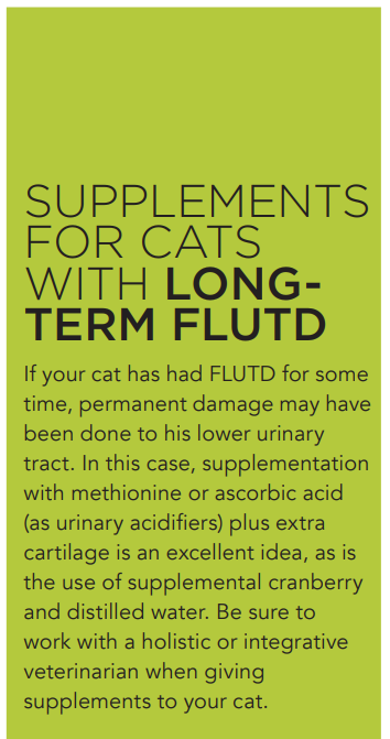 Preventing FLUTD in Cats: The Power of a Raw Diet