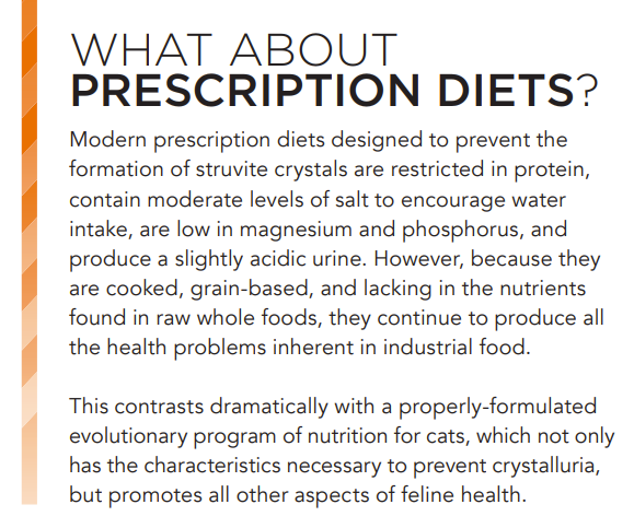 Preventing FLUTD in Cats: The Power of a Raw Diet