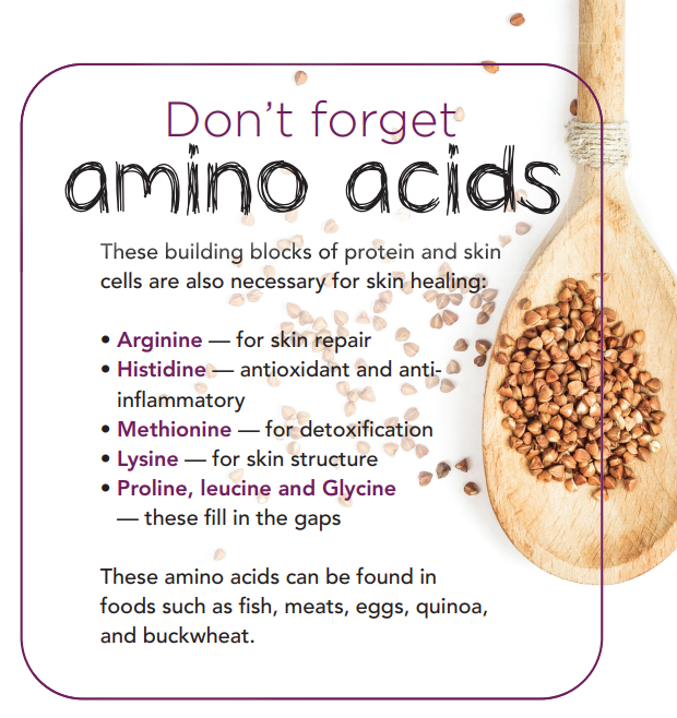 Nutritional Strategies to Heal Your Dog’s or Cat’s Skin From the Inside Out