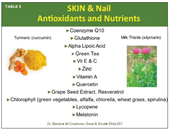 Nutritional Strategies to Heal Your Dog’s or Cat’s Skin From the Inside Out