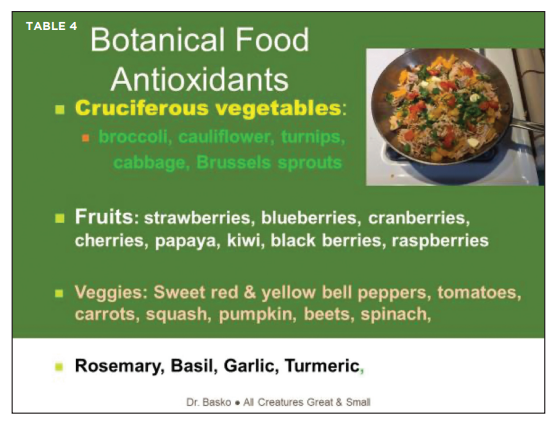 Nutritional Strategies to Heal Your Dog’s or Cat’s Skin From the Inside Out