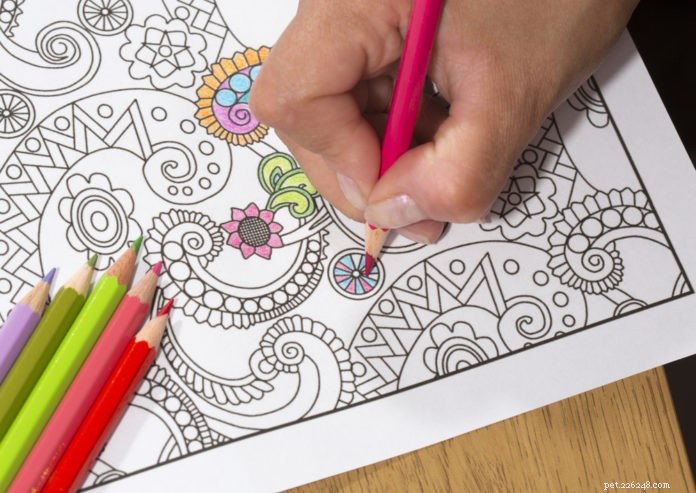 Calm Your Mind: Stress Relief with a Cat-Themed Coloring Book