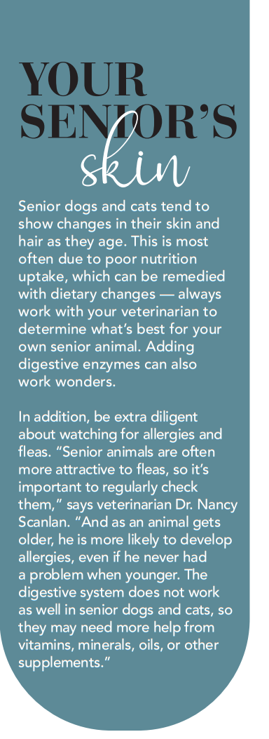 How Your Dog or Cat’s Skin Reveals Their Health: Key Signs to Watch