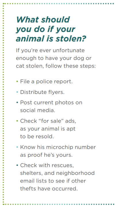 Protect Your Pets: Proven Tips to Prevent Theft Amid the Pandemic