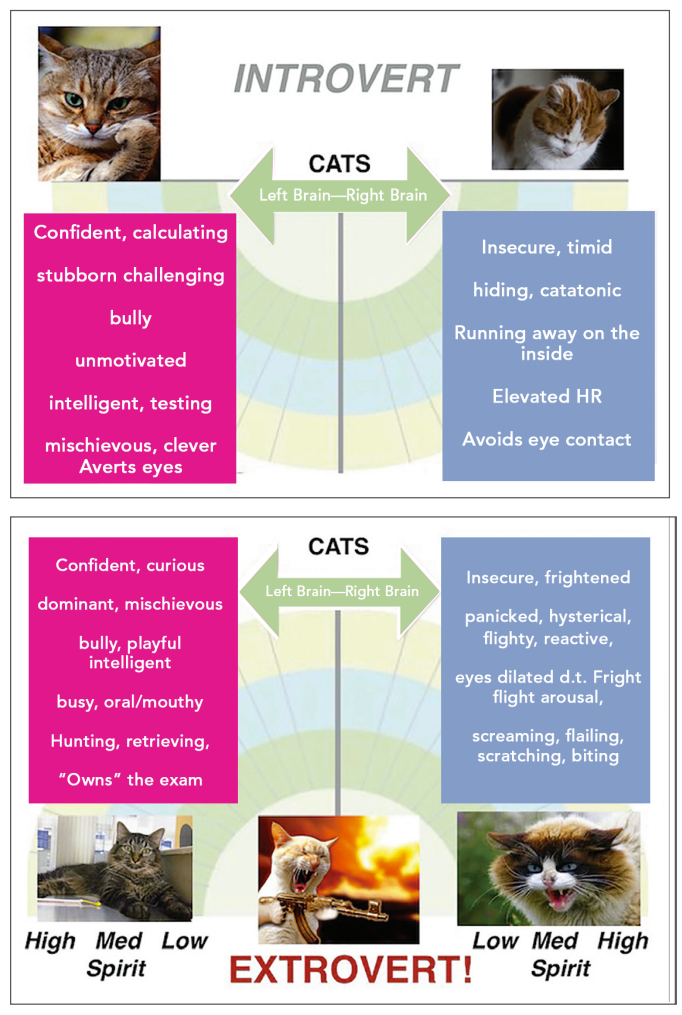 Reduce Vet Visit Stress by Managing Your Dog or Cat’s Emotional State