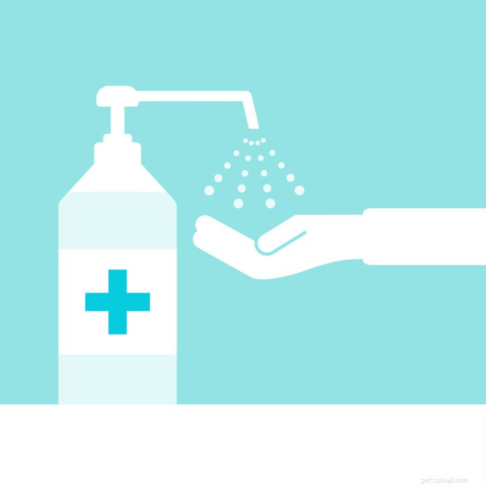 Are Household Disinfectants Endangering Your Pets? A Veterinary Review