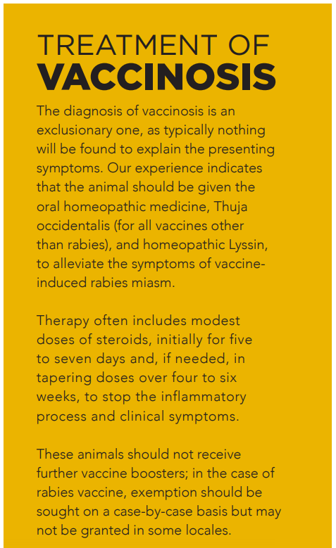 Vaccinating Your Adult Dog or Cat: Key Factors for Informed Decisions