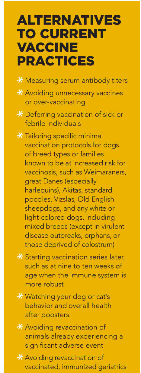 Vaccinating Your Adult Dog or Cat: Key Factors for Informed Decisions