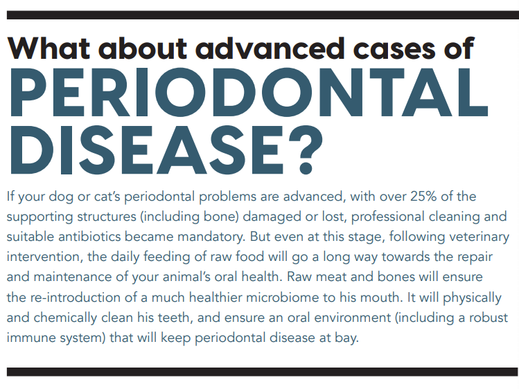 Does a Raw Meat and Bone Diet Help Prevent Periodontal Disease in Dogs and Cats?