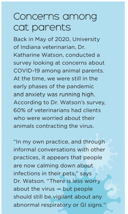Can Cats Contract COVID-19? What You Need to Know.