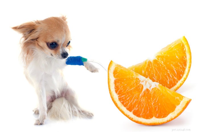 High-Dose Vitamin C Therapy: Part 1 – Clinical Benefits and Cancer Treatment Insights