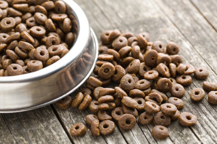 Avoid These Common Pet Food Ingredients for Better Health