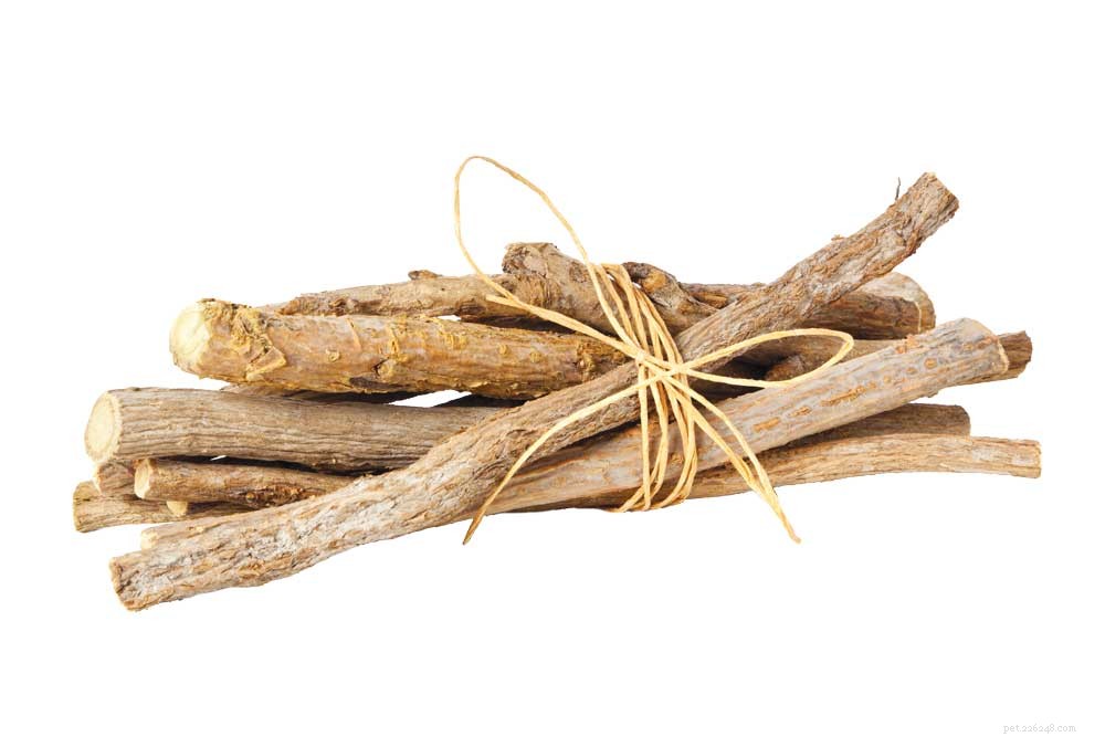 Effective Western Herbs for Treating Pet Allergies