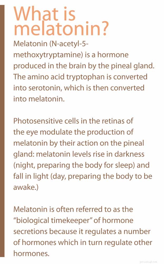 Melatonin for Dogs & Cats: Boost Sleep, Reduce Anxiety, and Strengthen Immunity
