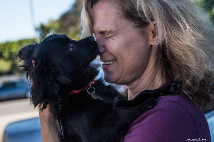 Expanding Pet Adoption: Rescue Groups Bring Animals Home at Events