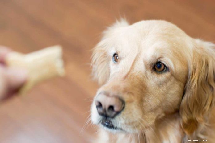 Redbarn Pet Products: 20 Years of Premium, All-Natural Pet Nutrition