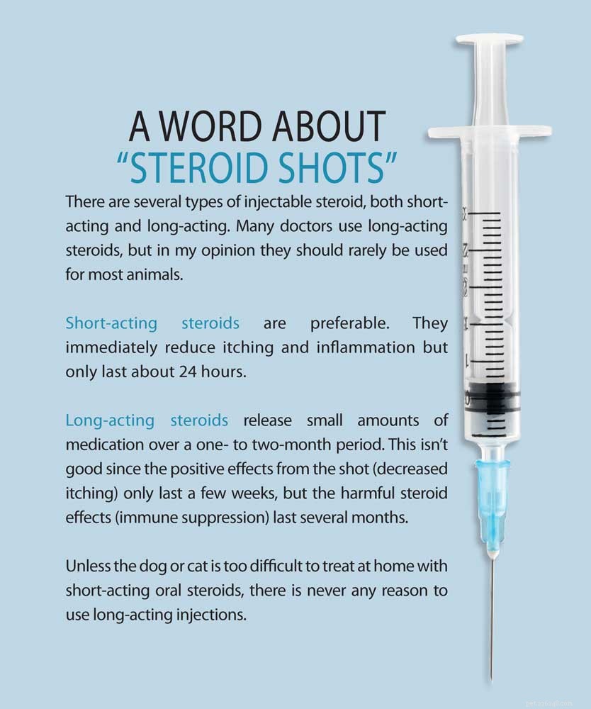 Safe and Responsible Use of Conventional Medications in Veterinary Care