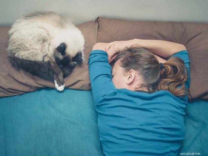 Living with a Cat While Immunocompromised: Safe Ways to Protect Your Health