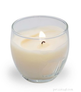 Protect Your Pets: Essential Candle Safety Tips