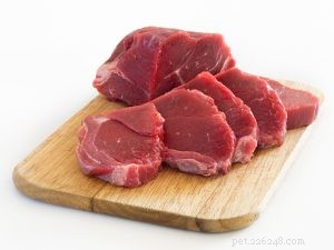 Boost Your Pet’s Skin Health with Proven Nutritional Strategies
