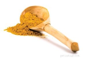 Effective Natural Remedies to Ease Arthritis in Cats