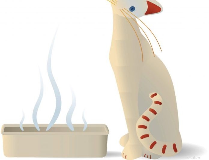 Why Cats Poop Outside the Litter Box – Causes & Fixes
