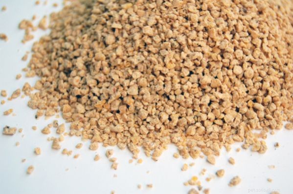 Discover the Latest Cat Litter Innovations: Safe, Odor‑Free & Convenient Solutions