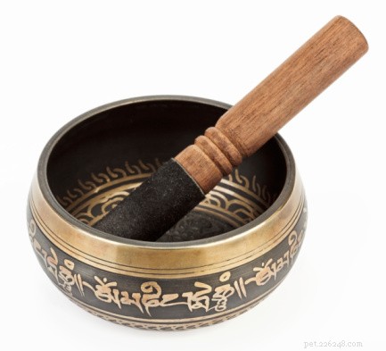 Discover the Healing Power of Tibetan Singing Bowls for You and Your Pets