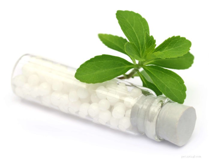 Homeopathic Cancer Care for Pets: Gentle, Whole‑Body Support