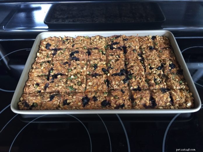 Festive Turkey Treats for Dogs & Cats: Healthy, Low‑Fat Recipes