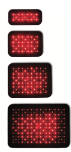 Light Therapy for Dogs & Cats: A Proven Remedy for Pain, Arthritis, and Healing